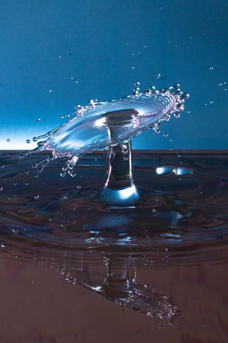 Tropfen auf Tropfen Fotografie