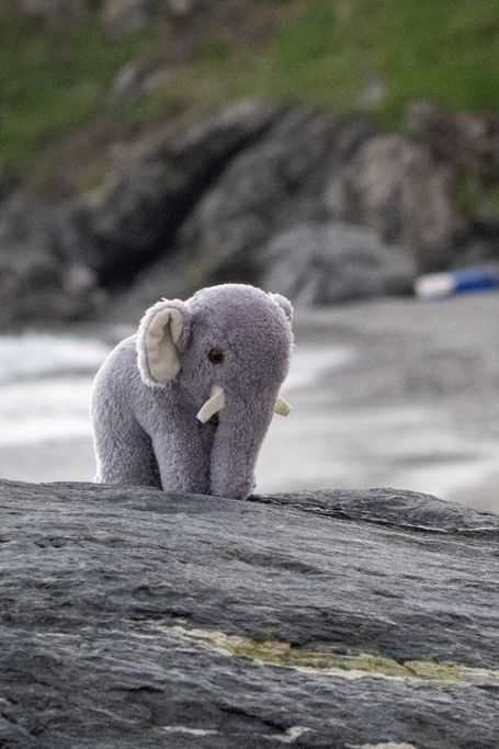 Reisefant in Andalusien