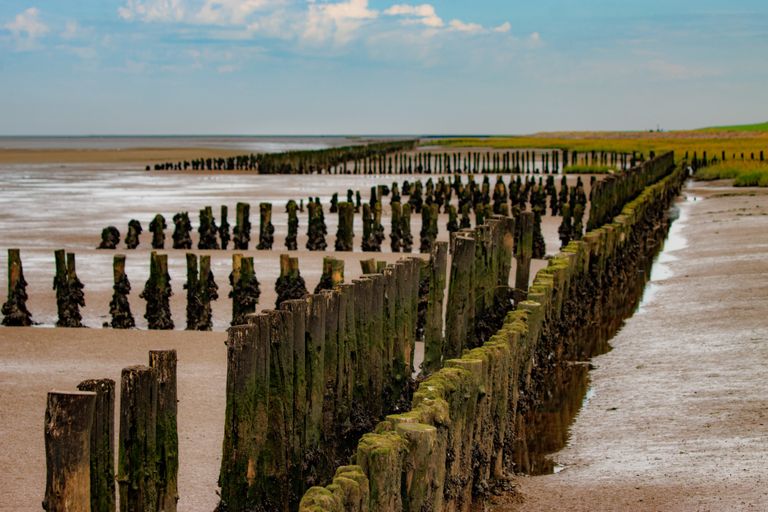 Landgewinnung im Wattenmeer