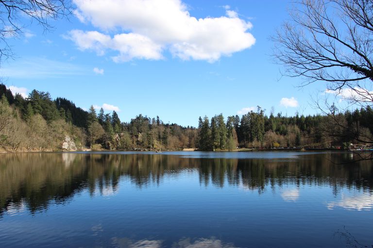 Bergsee bei Bad Säckingen