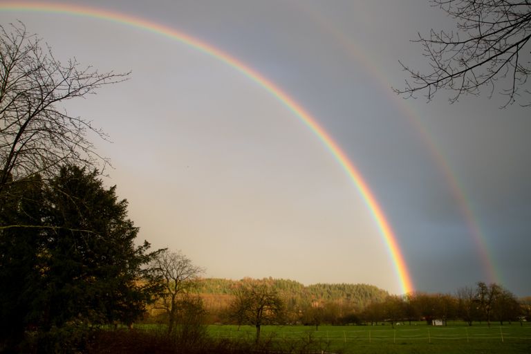 Regenbogen