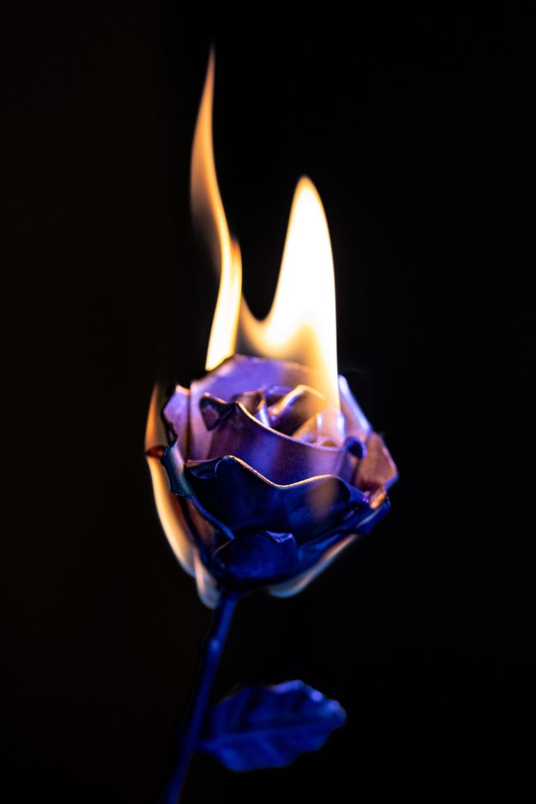 Brennende Rose aus Metall