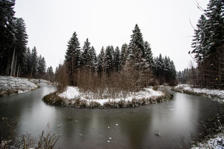 Winterwunderland - Vogesen