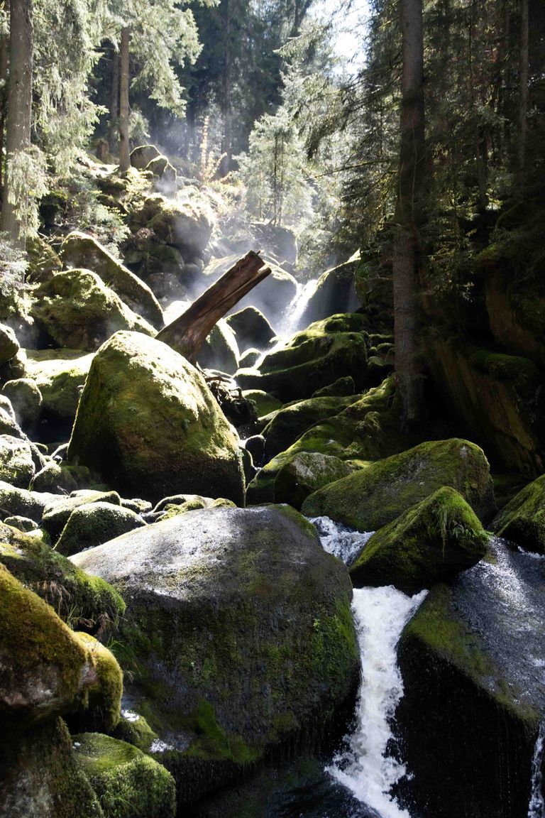 Bei den Triberger Wasserfällen