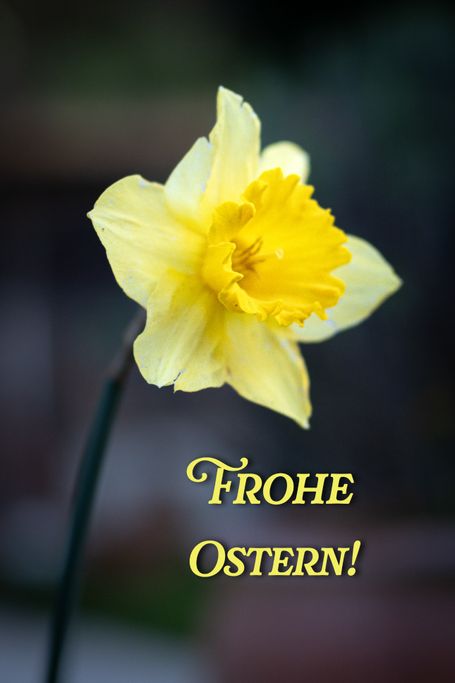 Frohe Ostern